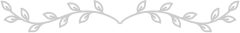 border_bottom.png