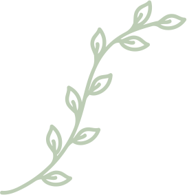 border_centar_roko.png