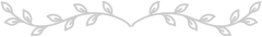 top_border.png